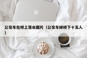公交车在桥上落水图片（公交车掉桥下十五人）