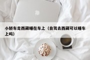 小轿车走西藏睡在车上（自驾去西藏可以睡车上吗）