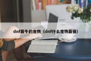 dnf最牛的宠物（dnf什么宠物最强）