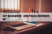 房产集团最强管理（房地产集团公司管理架构图）