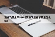 澳洲飞鼠鱼竿540（澳洲飞鼠鱼竿质量怎么样）