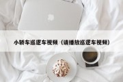 小轿车巡逻车视频（请播放巡逻车视频）
