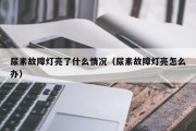尿素故障灯亮了什么情况（尿素故障灯亮怎么办）