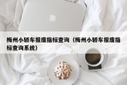 梅州小轿车报废指标查询（梅州小轿车报废指标查询系统）