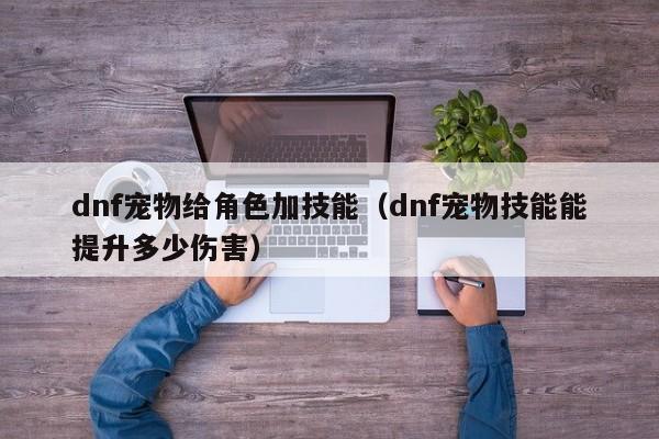dnf宠物给角色加技能(dnf宠物技能能提升多少伤害)